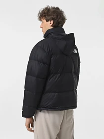 Куртки та дублянки The North Face 1996 Retro Nuptse модель NF0A3C8D4G31 Фото