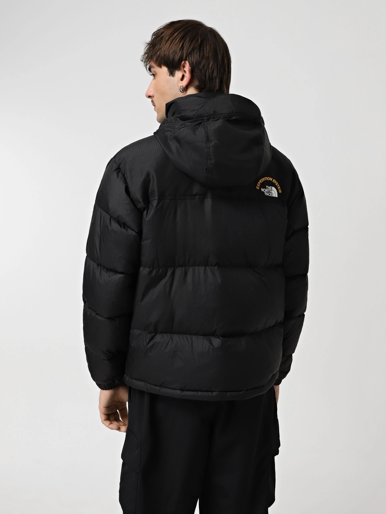 Куртки и дубленки The North Face 1996 Retro Nuptse модель NF0A3C8DKX71 Куртки и дубленки The North Face 1996 Retro Nuptse модель NF0A3C8DKX71 Фото