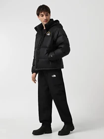 Куртки и дубленки The North Face 1996 Retro Nuptse модель NF0A3C8DKX71 Фото