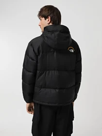 Куртки и дубленки The North Face 1996 Retro Nuptse модель NF0A3C8DKX71 Фото