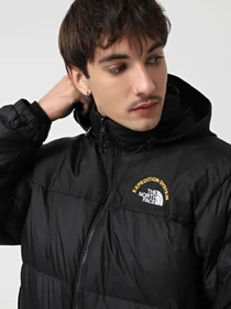 Куртки и дубленки The North Face 1996 Retro Nuptse модель NF0A3C8DKX71 Фото