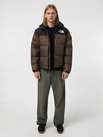 Куртки и дубленки The North Face 1996 Retro Nuptse модель NF0A3C8D5EX1 Фото