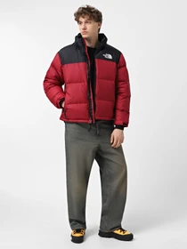 Куртки и дубленки The North Face 1996 Retro Nuptse модель NF0A3C8D5BO1 Фото