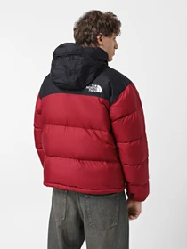 Куртки и дубленки The North Face 1996 Retro Nuptse модель NF0A3C8D5BO1 Фото