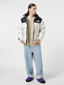 Куртки и дубленки The North Face 1996 Retro Nuptse модель NF0A3C8D5IX1 Фото