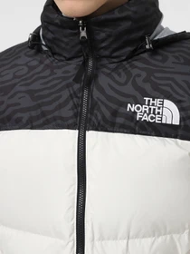 Куртки и дубленки The North Face 1996 Retro Nuptse модель NF0A3C8D5IX1 Фото