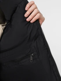 Куртки и дубленки The North Face 1996 Retro Nuptse модель NF0A3C8D5IX1 Фото