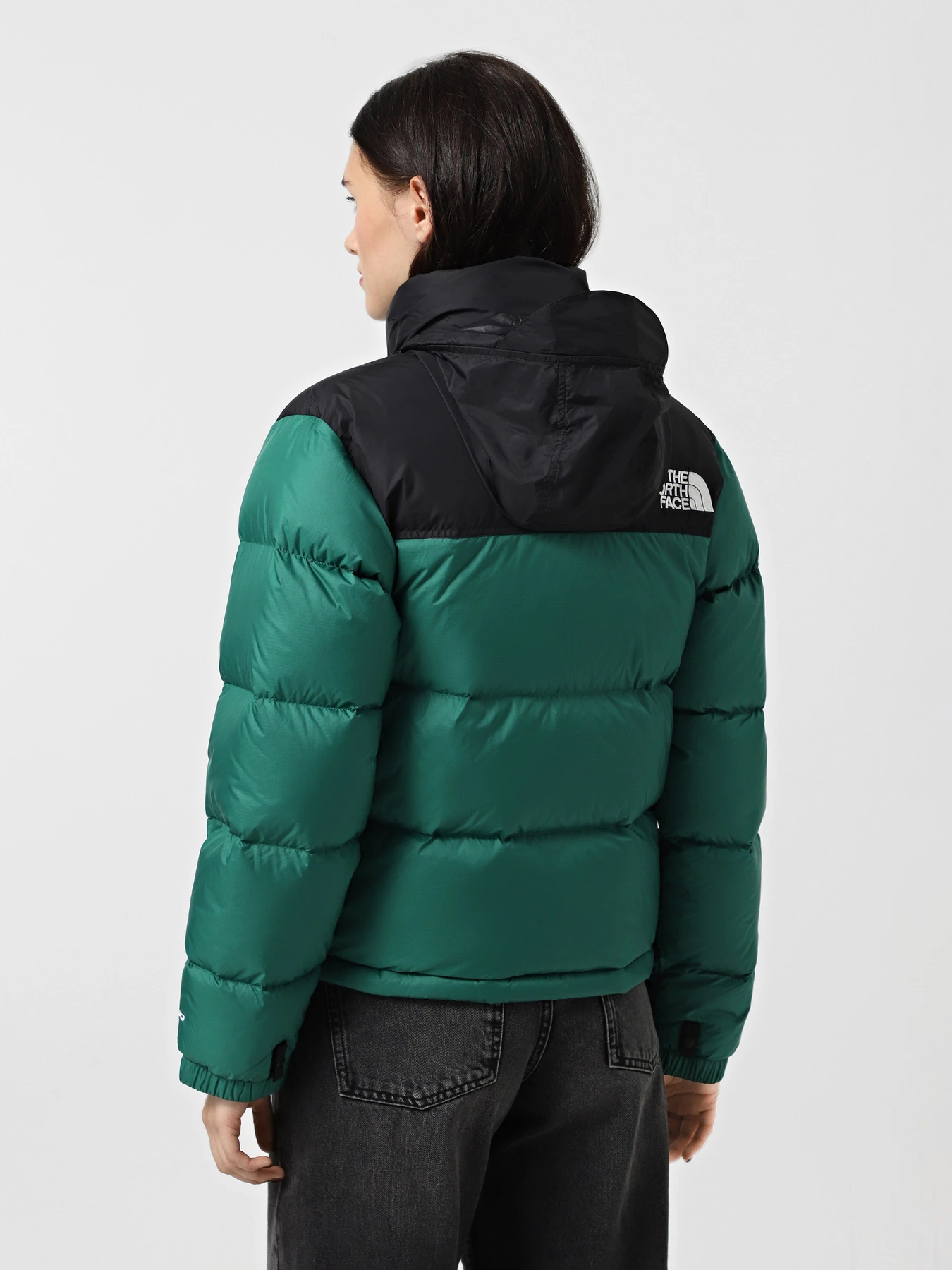 Куртки и дубленки The North Face 1996 Retro Nuptse модель NF0A3XEONL11 Куртки и дубленки The North Face 1996 Retro Nuptse модель NF0A3XEONL11 Фото