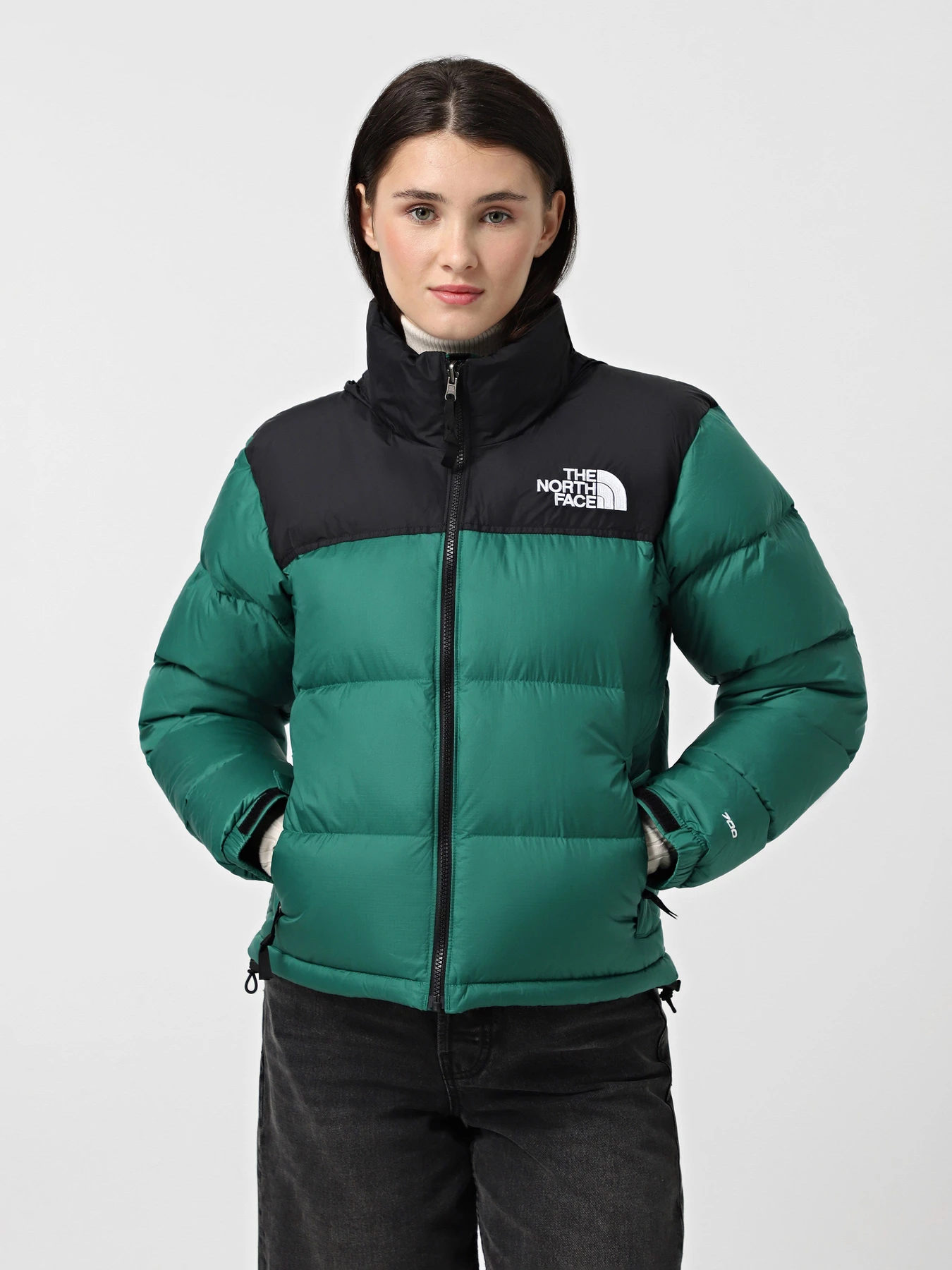 Куртки и дубленки The North Face 1996 Retro Nuptse модель NF0A3XEONL11 Куртки и дубленки The North Face 1996 Retro Nuptse модель NF0A3XEONL11 Фото