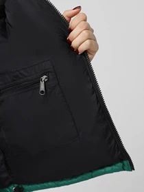 Куртки и дубленки The North Face 1996 Retro Nuptse модель NF0A3XEONL11 Фото