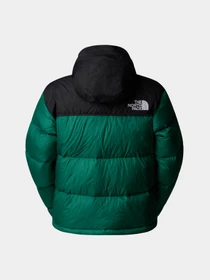 Куртки и дубленки The North Face 1996 Retro Nuptse модель NF0A3XEONL11 Фото