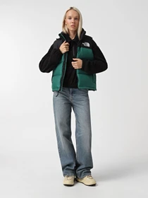Куртки и дубленки The North Face 1996 Retro Nuptse модель NF0A3XEPNL11 Фото