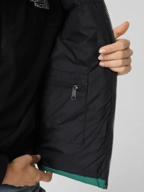 Куртки и дубленки The North Face 1996 Retro Nuptse модель NF0A3XEPNL11 Фото
