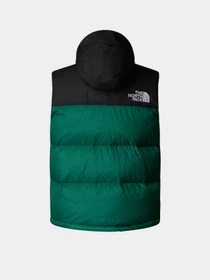 Куртки и дубленки The North Face 1996 Retro Nuptse модель NF0A3XEPNL11 Фото