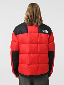 Куртки та дублянки The North Face Lhotse модель NF0A3Y236821 Фото