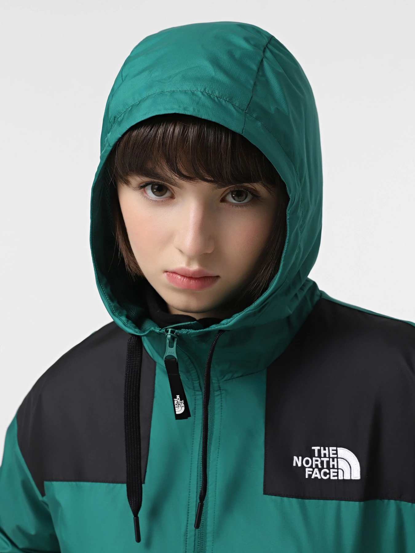 Куртки та дублянки The North Face Sheru модель NF0A4C9HNL11 Фото