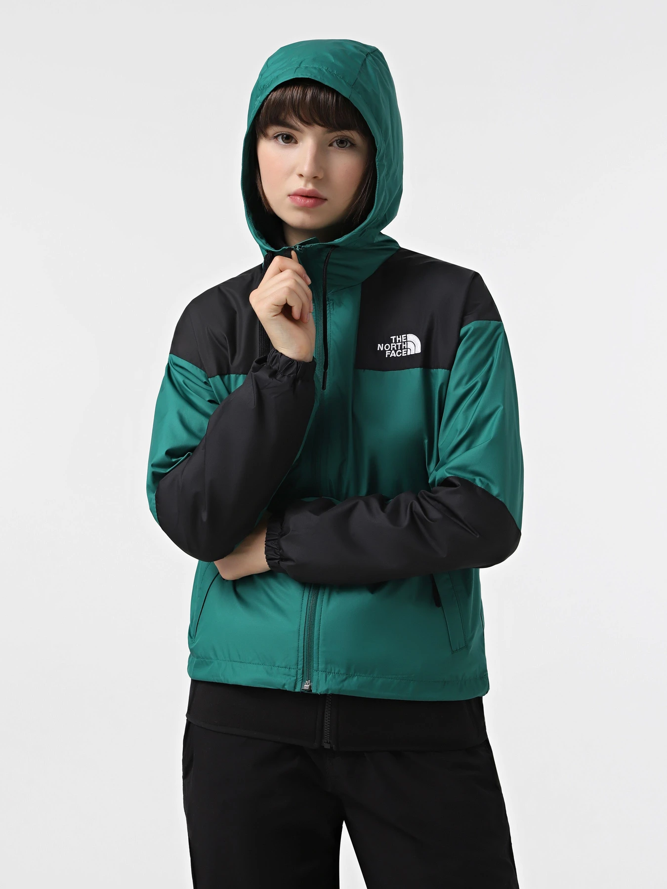 Куртки та дублянки The North Face Sheru модель NF0A4C9HNL11 Фото