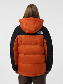 Куртки и дубленки The North Face Hmlyn Down модель NF0A4QYX5PO1 Фото