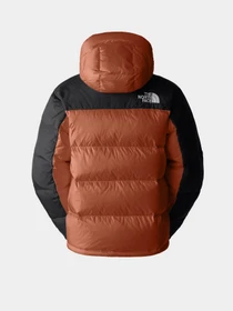 Куртки и дубленки The North Face Hmlyn Down модель NF0A4QYX5PO1 Фото