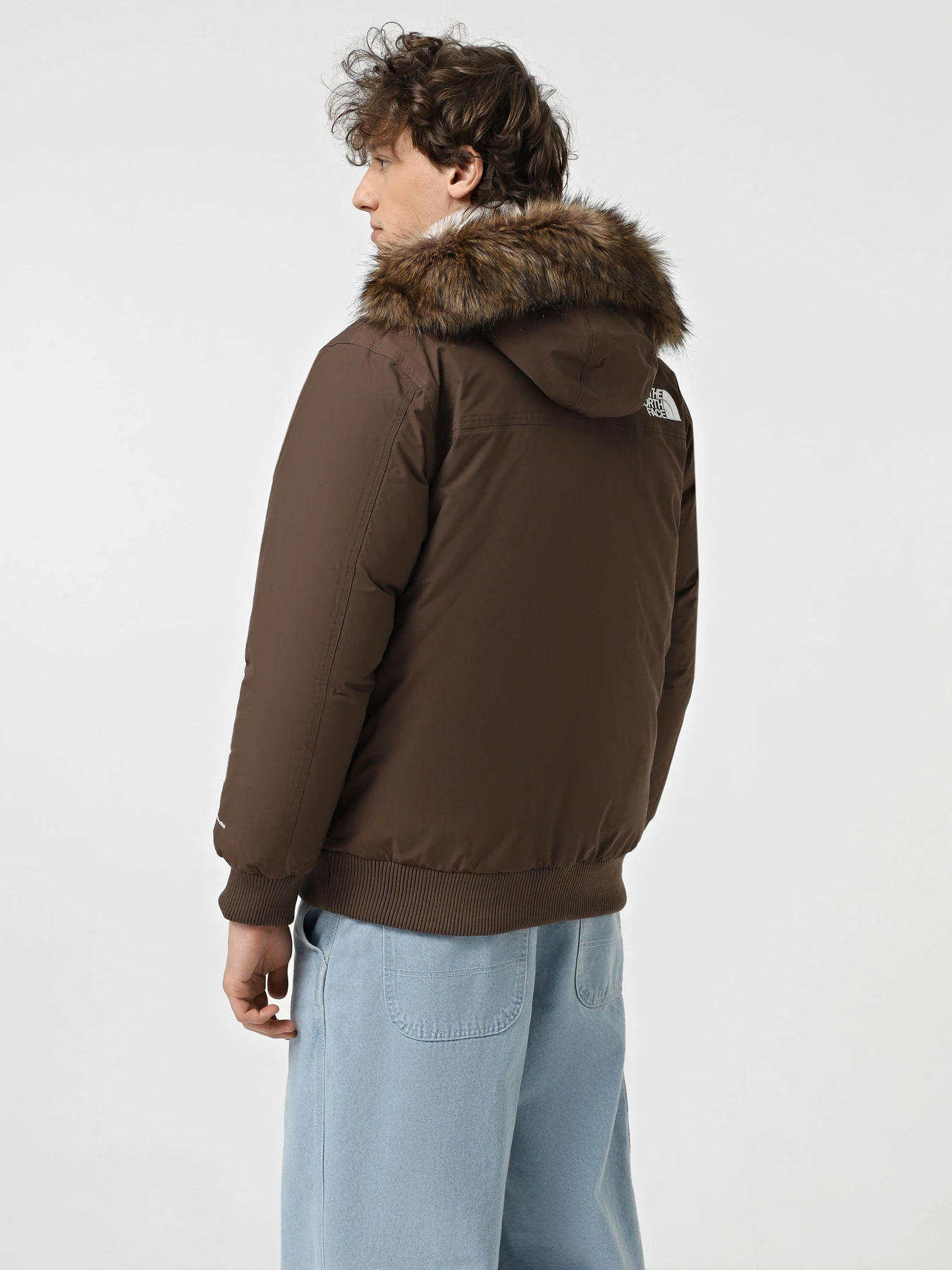 Куртки и дубленки The North Face Mcmurdo модель NF0A5GD91OI1 Фото