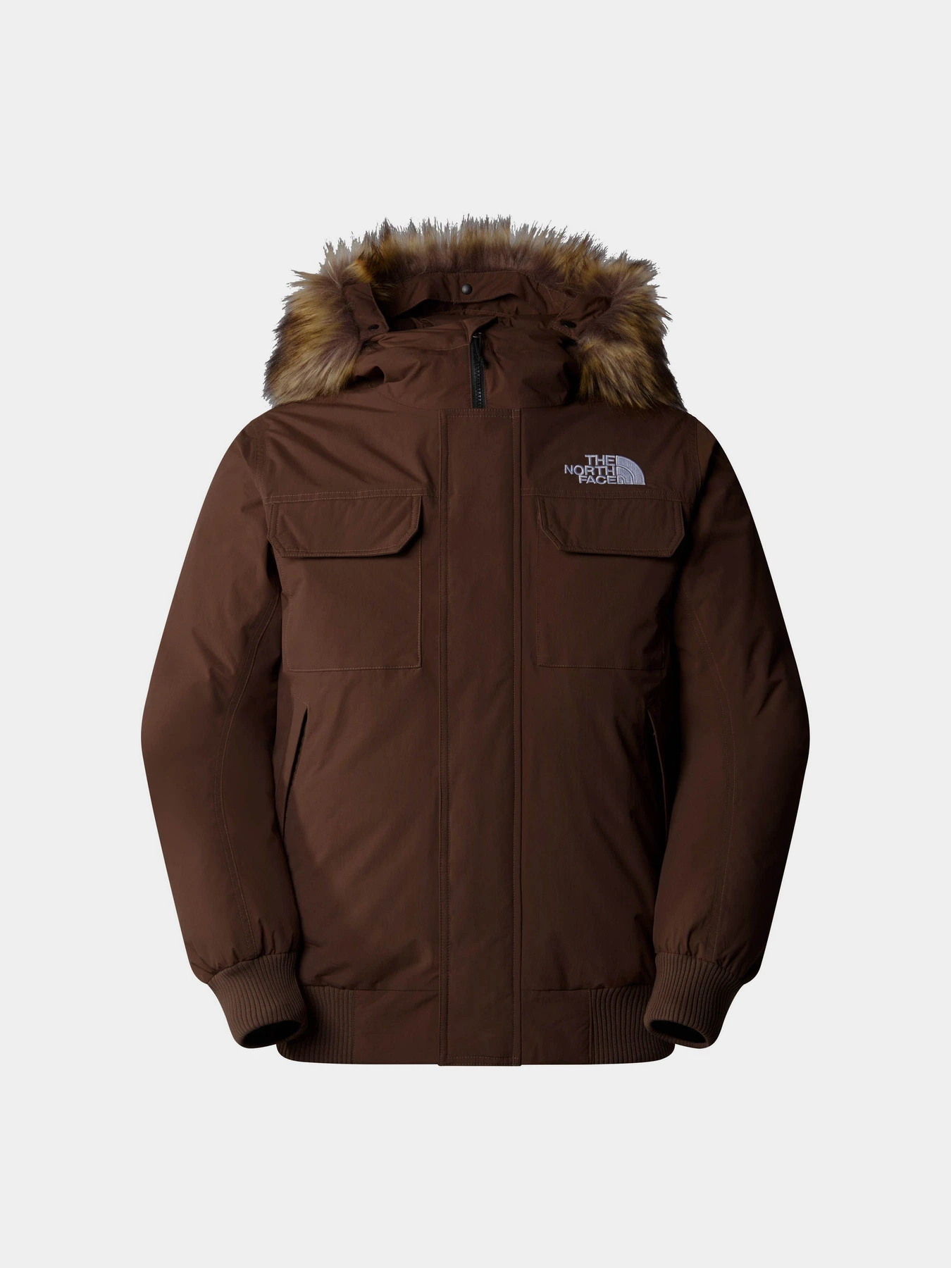 Куртки и дубленки The North Face Mcmurdo модель NF0A5GD91OI1 Фото