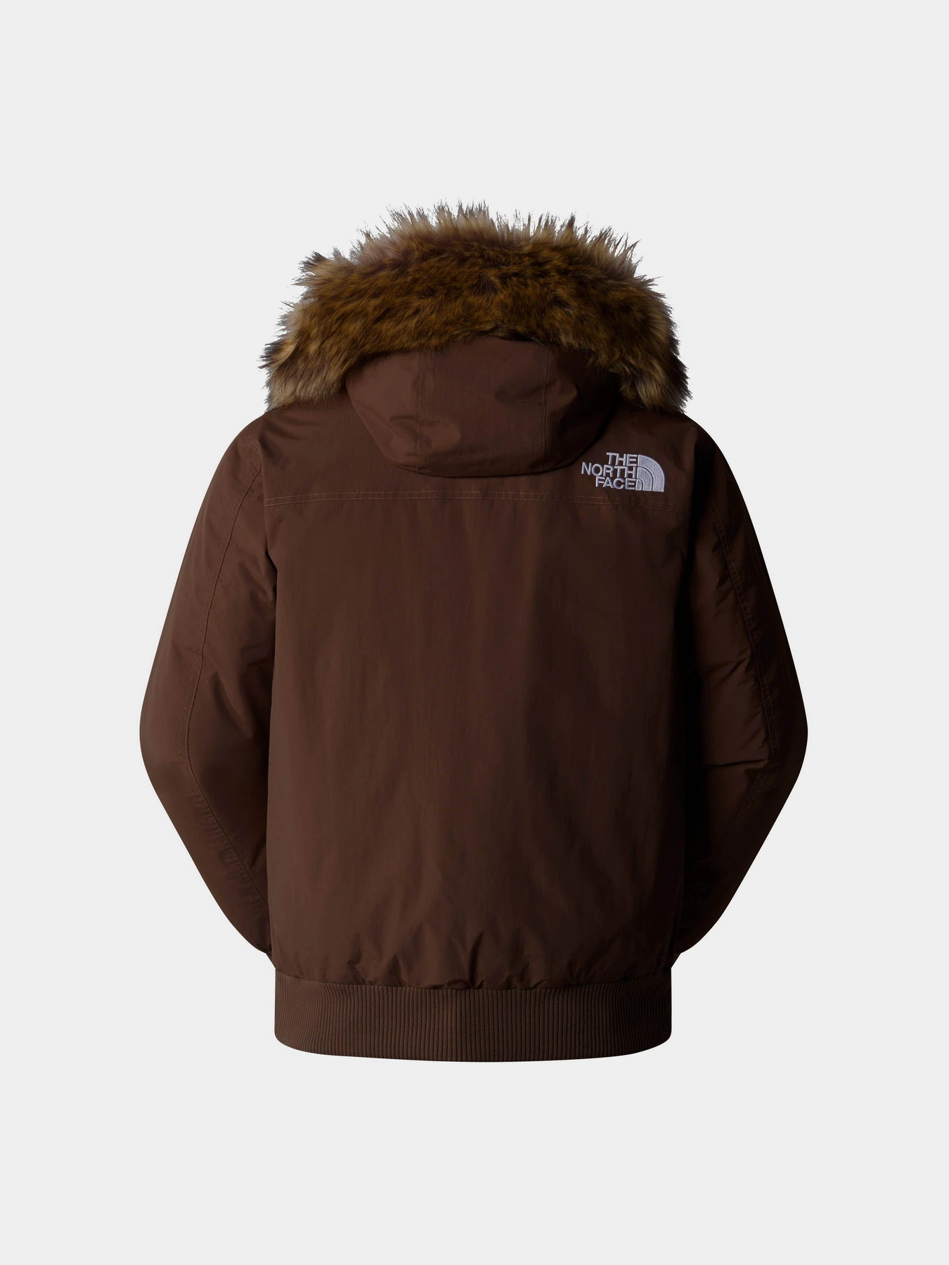 Куртки и дубленки The North Face Mcmurdo модель NF0A5GD91OI1 Фото
