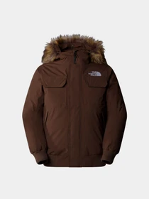 Куртки и дубленки The North Face Mcmurdo модель NF0A5GD91OI1 Фото