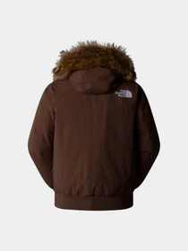 Куртки и дубленки The North Face Mcmurdo модель NF0A5GD91OI1 Фото