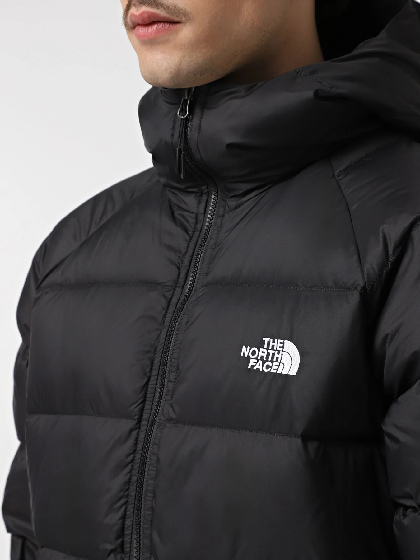 Куртки та дублянки The North Face Hydrenalite модель NF0A5GIEJK31 Фото