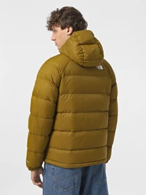 Куртки та дублянки The North Face Hydrenalite Hooded Down модель NF0A5GIE1OB1 Фото