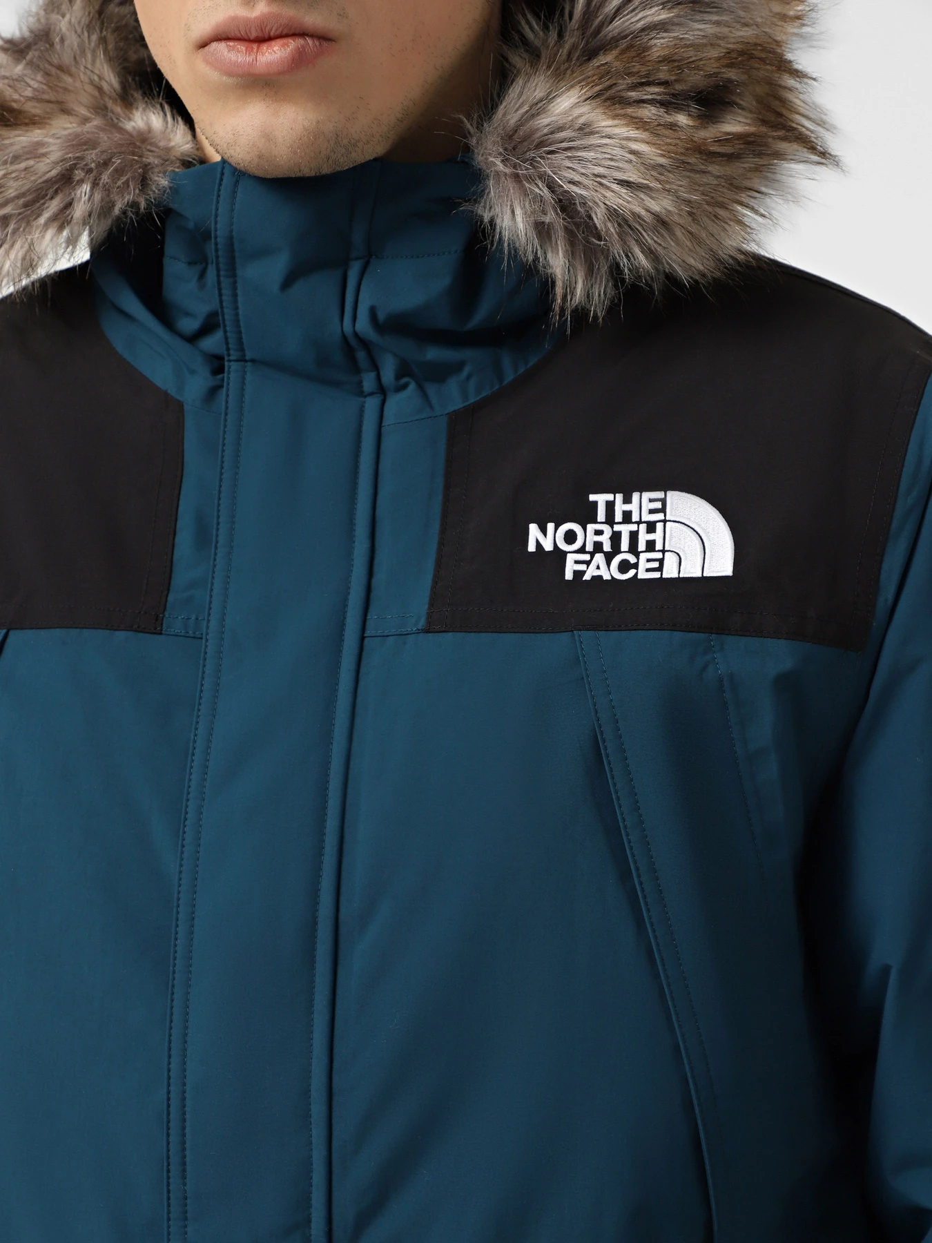 Куртки и дубленки The North Face Mcmurdo модель NF0A5GJF5LO1 Куртки и дубленки The North Face Mcmurdo модель NF0A5GJF5LO1 Фото