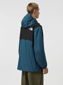 Куртки та дублянки The North Face Mountain Q модель NF0A5IG21NO1 Фото