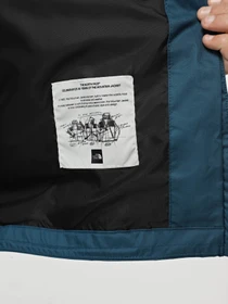 Куртки та дублянки The North Face Mountain Q модель NF0A5IG21NO1 Фото