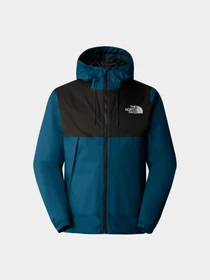 Куртки та дублянки The North Face Mountain Q модель NF0A5IG21NO1 Фото