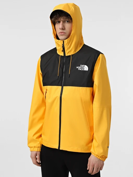 Куртки и дубленки The North Face Mountain Q модель NF0A5IG256P1 Фото