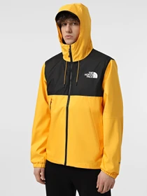 Куртки и дубленки The North Face Mountain Q модель NF0A5IG256P1 Фото