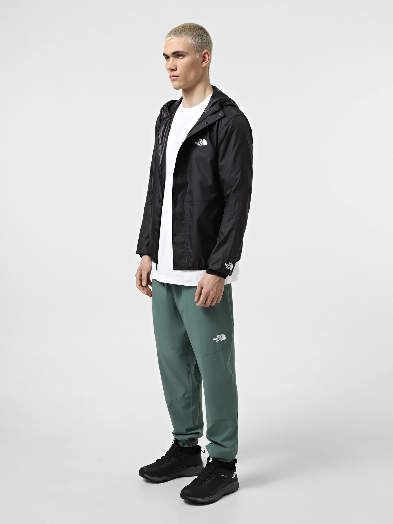 Куртки та дублянки The North Face Seasonal Mountain модель NF0A5IG34H01 Фото