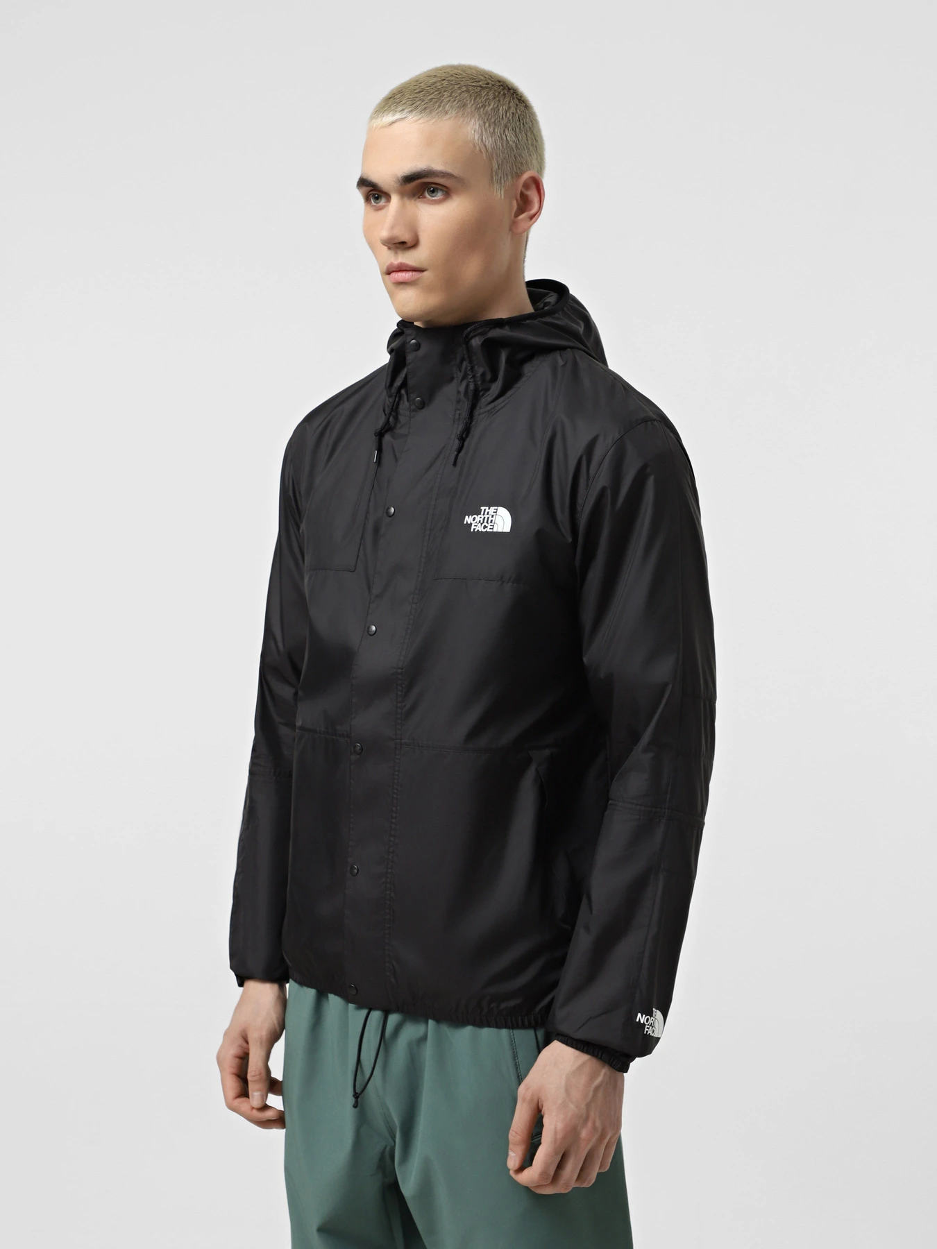 Куртки та дублянки The North Face Seasonal Mountain модель NF0A5IG34H01 Фото