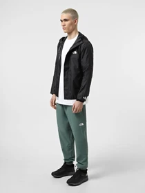 Куртки та дублянки The North Face Seasonal Mountain модель NF0A5IG34H01 Фото