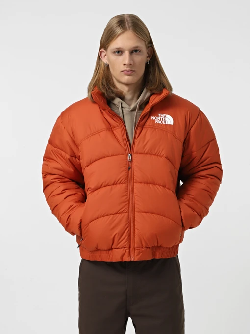 Куртки та дублянки The North Face 2000 модель NF0A7URE1I01 Фото