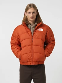 Куртки та дублянки The North Face 2000 модель NF0A7URE1I01 Фото