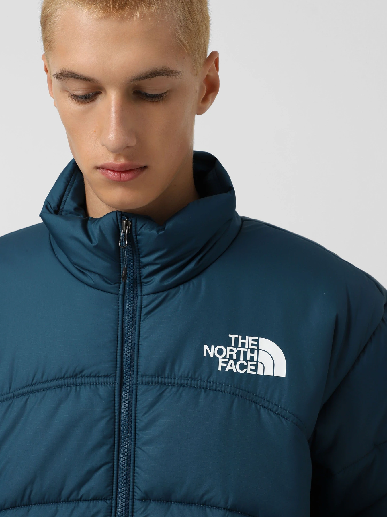 Куртки та дублянки The North Face 2000 модель NF0A7URE1NO1 Фото