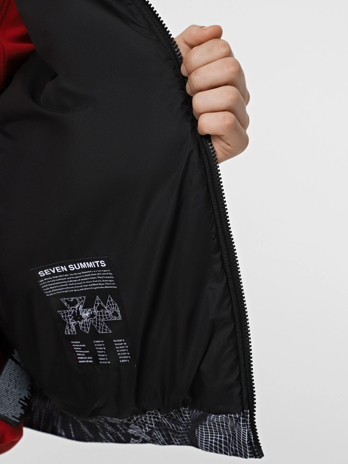 Куртки та дублянки The North Face 2000 Synthetic Puffer модель NF0A7URE3VO1 Куртки та дублянки The North Face 2000 Synthetic Puffer модель NF0A7URE3VO1 Фото