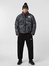 Куртки та дублянки The North Face 2000 Synthetic Puffer модель NF0A7URE3VO1 Фото