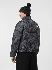 Куртки та дублянки The North Face 2000 Synthetic Puffer модель NF0A7URE3VO1 Фото