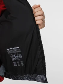 Куртки та дублянки The North Face 2000 Synthetic Puffer модель NF0A7URE3VO1 Фото