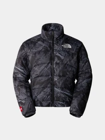 Куртки та дублянки The North Face 2000 Synthetic Puffer модель NF0A7URE3VO1 Фото