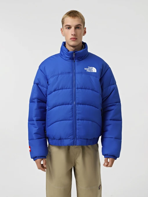Куртки и дубленки The North Face 2000 Synthetic Puffer модель NF0A7URECZ61 Фото