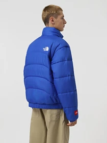 Куртки та дублянки The North Face 2000 Synthetic Puffer модель NF0A7URECZ61 Фото
