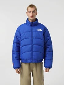 Куртки та дублянки The North Face 2000 Synthetic Puffer модель NF0A7URECZ61 Фото